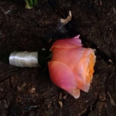 Бутоньерка C10362 - Салон цветов Chouchou